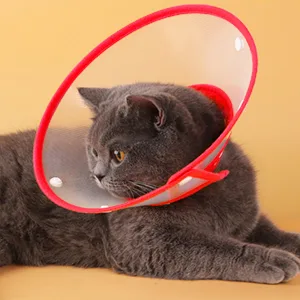 Vivifying Pet Neck Brace Adjustable from 14.5-20.3 cm Lightweight Protective Collar for Puppies Small Dogs and Cats (Red-M) - Halskrause Katze