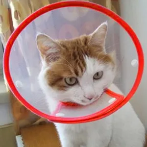 Vivifying Pet Neck Brace Adjustable from 14.5-20.3 cm Lightweight Protective Collar for Puppies Small Dogs and Cats (Red-M) - Halskrause Katze