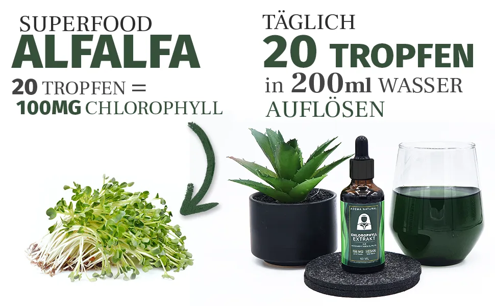 Adema Natural - Chlorophyll extract drop - extremely green liquid liquid - vegan - natural and high -dose - liquid concentrate made of pure alfalfa - 50 ml content - Chlorophyll 2