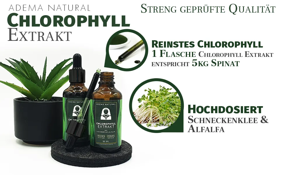 Adema Natural - Chlorophyll extract drop - extremely green liquid liquid - vegan - natural and high -dose - liquid concentrate made of pure alfalfa - 50 ml content - Chlorophyll1