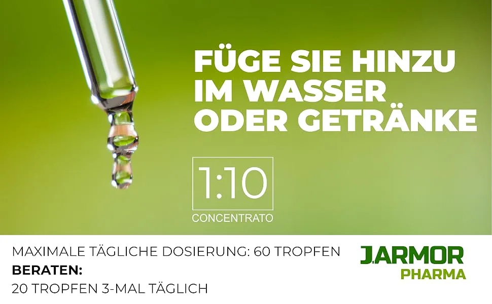 Dandelion drops 100ml | Dandelion | Dandelion (Taraxacum officinale) | Gluten-free J.Armor - Jarmor