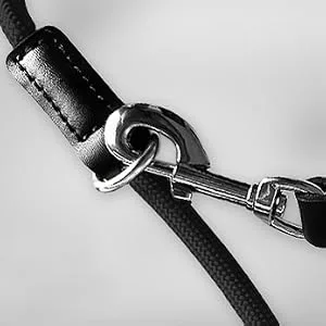Pawhero dog leash adjustable for large and medium -sized dogs |2.5 meters |5-way length adjustable |Nylon guide leash & converting |Round double line with 2 carabiners |Black - Karabinerhaken