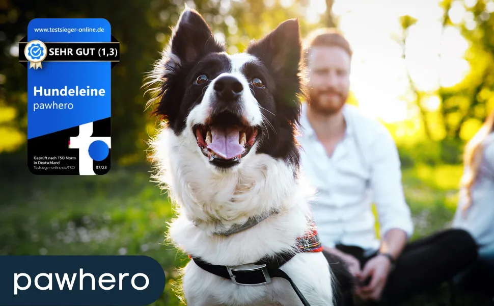 Pawhero dog leash adjustable for large and medium -sized dogs |2.5 meters |5-way length adjustable |Nylon guide leash & converting |Round double line with 2 carabiners |Black - pawhero Titelbild