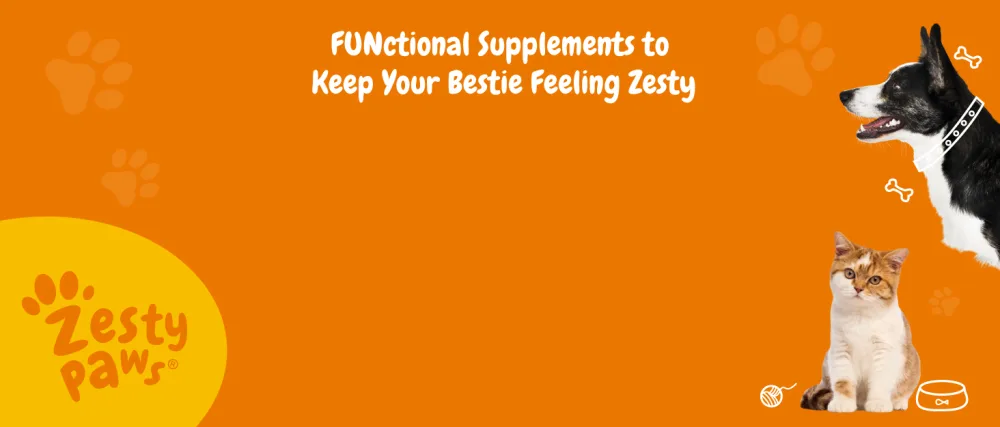 Zesty Paws Lysine Immune Bites For Cats Immune Support All Ages Salmon 60 Soft Chews - Zesty Paws functional supplements to keep your bestie feeling zesty