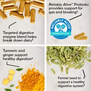 Zenwise Health No Bloat with DE111 Probiotic 60 Vegetable Capsules - IBGard
