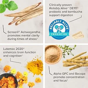 Zenwise Health Probiotic + Kombucha + Focus  40 Vegetable Capsules - sensoril ashwagandha lutemax alpha gpc bacopa concentration focus kombucha