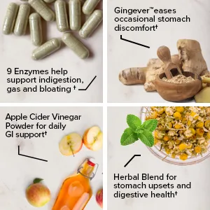 Zenwise Health ENDigestion 60 Vegetable Capsules - 9 enzymes gingever giner apple cider vinegar herbal blend