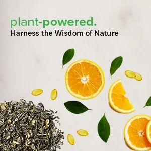 Zenwise Health Wise 'N' Regular 60 Vegetable Capsules - plant powered vegan