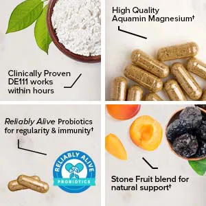 Zenwise Health Wise 'N' Regular 60 Vegetable Capsules - reliably alive probiotics wise n regular stone fruit magnesium