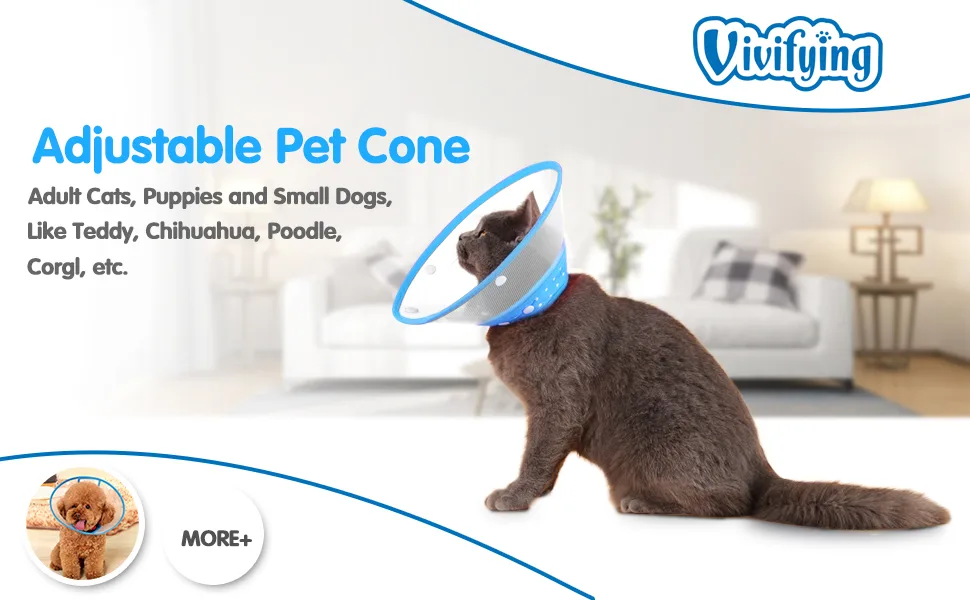 Vivifying pet hews adjustable from 20-24.5 cm lightweight protective collar for puppies small dogs and cats (blue-l) blue-L - Halskrause Hund