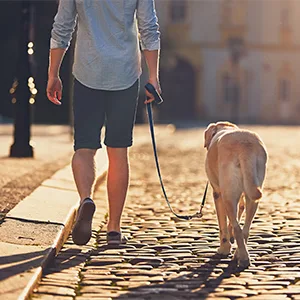 Onisall freehand linen for small & medium -sized dogs dog leash 2.5m adjustable exercise leash & guide |Nylon double liners with 2 carabiners black - product information 7