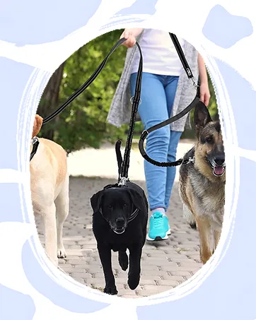 Etaccu double linen freehand linen practice lines with rolling lines 2m for medium -sized large dogs Robust non -slip handle without involvement reflective (black) m 2m 35kg black - ETACCU