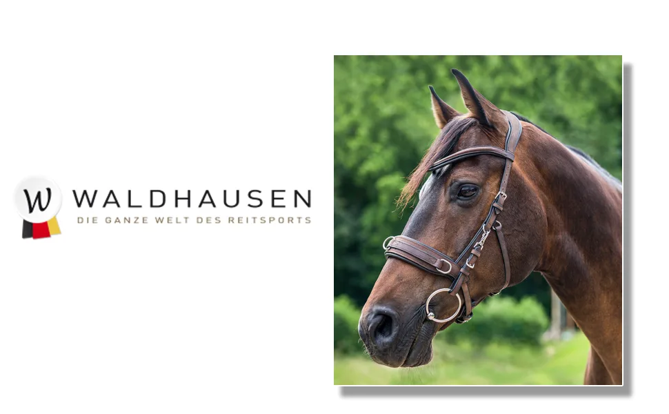 WALDHAUSEN leather cavesson Anatomic brown VB - WALDHAUSEN Lederkappzaum, anatomic