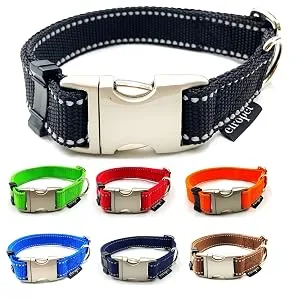 Dog leash reflecting large dogs double linen 2m / 2.40m / 2.80m / 3.50m / 5m adjustable made in Germany (black 20mm 2.00m) black 20mm 2.00 m - Hundehalsband