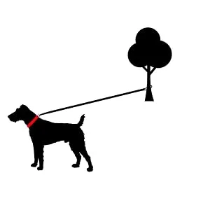 Dog leash reflecting large dogs double linen 2m / 2.40m / 2.80m / 3.50m / 5m adjustable made in Germany (blue 25mm 5.00m) blue 25mm 5.00m - Hundeleine