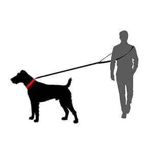 Dog leash reflecting large dogs double linen 2m / 2.40m / 2.80m / 3.50m / 5m adjustable made in Germany (brown 20mm 2.80m) brown 20mm 2.80m - Hundeleine