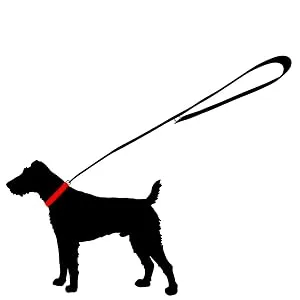 Dog leash reflective large dogs double linen 2m / 2.40m / 2.80m / 3.50m / 5m adjustable made in Germany (blue 25mm 2.00m) blue 25mm belt strap 2.00m - product information 9