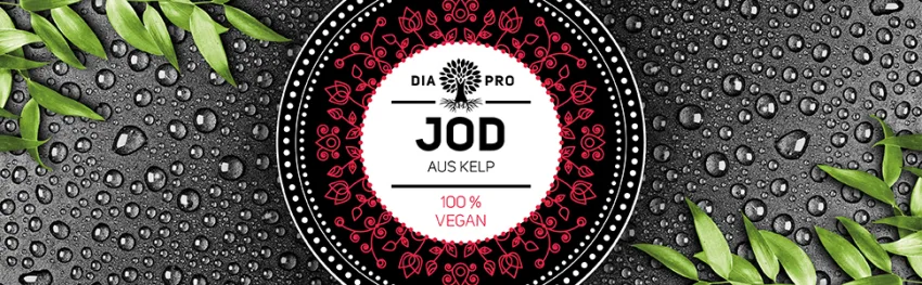DiaPro 150 g Natural iodine from brown algae (kelp extract) 365 pieces Annual supply 100% Vegan Laboratory tested - DiaPro Mandala Jod Header