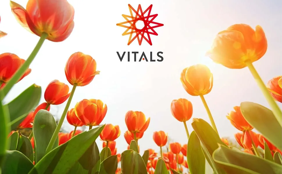 Vitals - Men's formula per prostate 60 capsules with pygeum africanum pumpkin seeds and sawing palm a complete formula for maintaining a normally functioning prostate. - vitals, zaandam