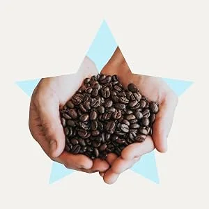 BulletProof Coffee The Original Medium Roast Whole Bean 12 oz (340 g) - bulletproof coffee, keto coffee, fuel, no crash, jitter free, toxin free, mold free, organic coffee