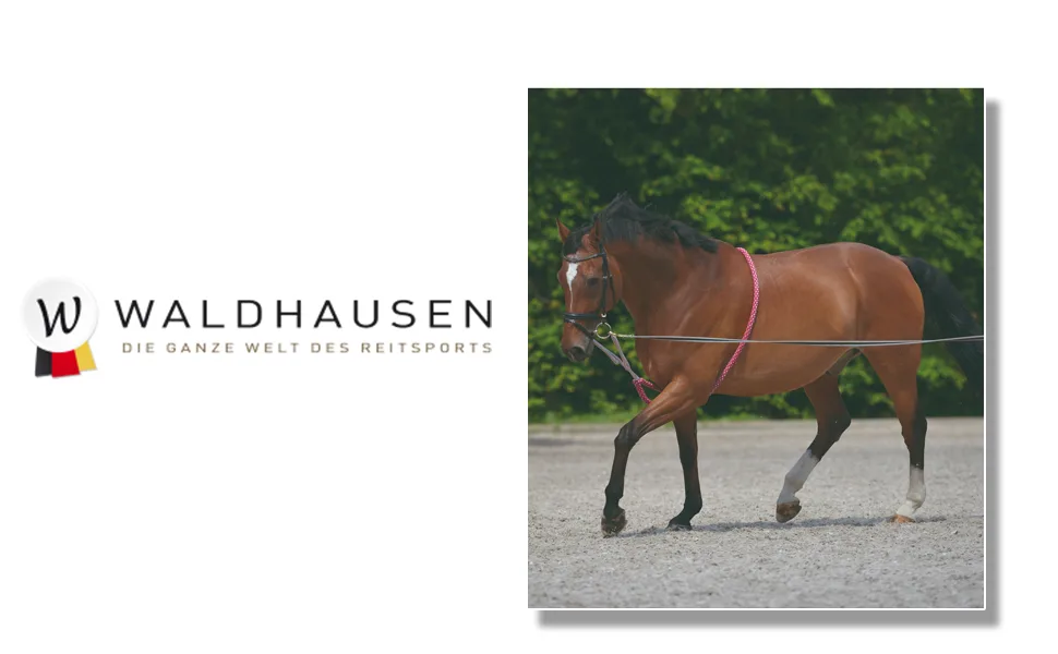 Lunging aid - WALDHAUSEN Longierhilfe