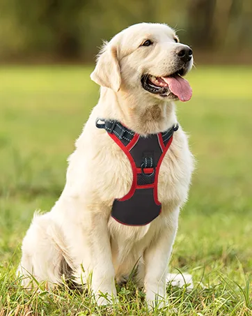 Phoepet Dog harvest without pulling for small dogs reflective adjustable front clip vests with handle 2 metal rings 3 buckles simply put on and take off (m black) black medium - HARNESS