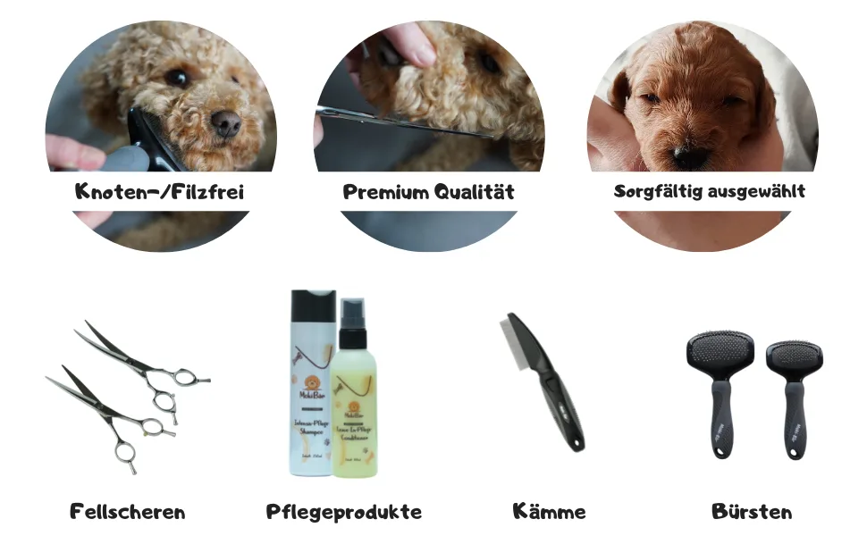 Moki B r dog shampoo with valuable argan oil from Morocco I For smooth fur and easy combing I Made in Germany 250ml - Moki Bär