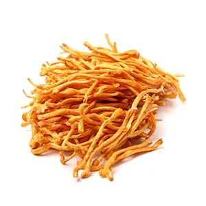 Force Factor Cordyceps 500 mg 60 Capsules - Cordyceps Extract