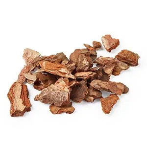 Force Factor Pine Bark 600 mg 30 Capsules - Pine Bark Extract
