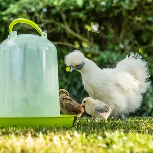Eukamintol 250ml drinking water additive from essential oils.For chickens pigeons & rabbits - the breathing & facilitates well -being - supportive in chicken runny nose & cold - Tränke Hühner