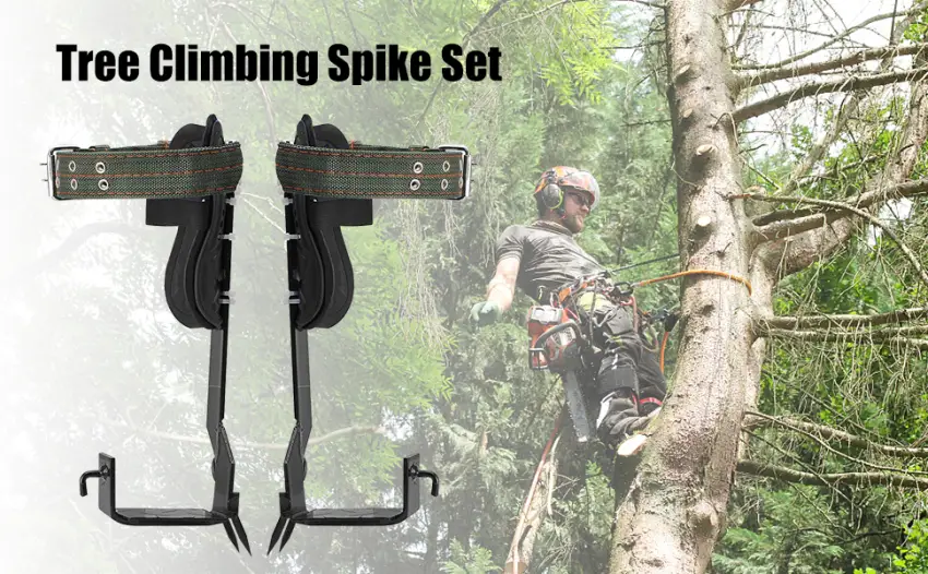 Tree climbing crampons stainless steel tree climbing spikes tree climbing spike set crampons tree stainless steel with straps and gloves for tree work 2Claws - product information 5