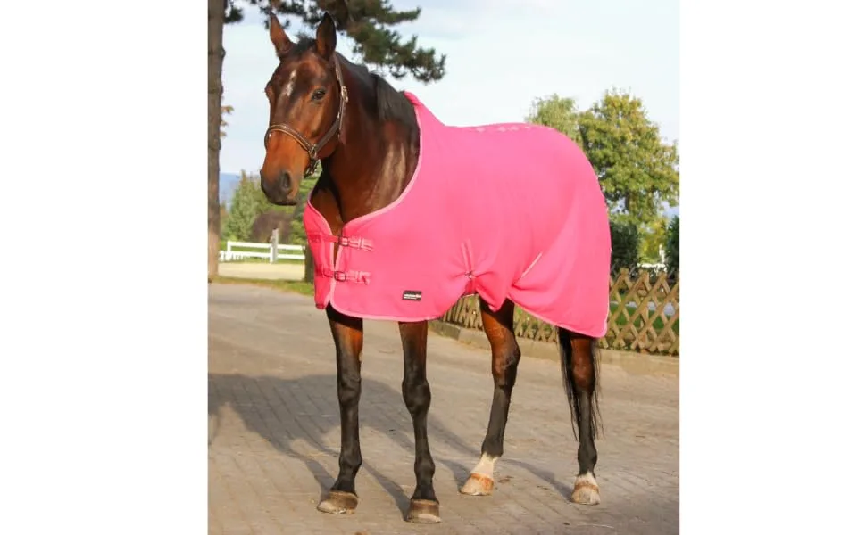 RL24 - Sweat rug BASICLINE with cross strap for the horse is breathable fleece blanket transport blanket purple 105cm - decke