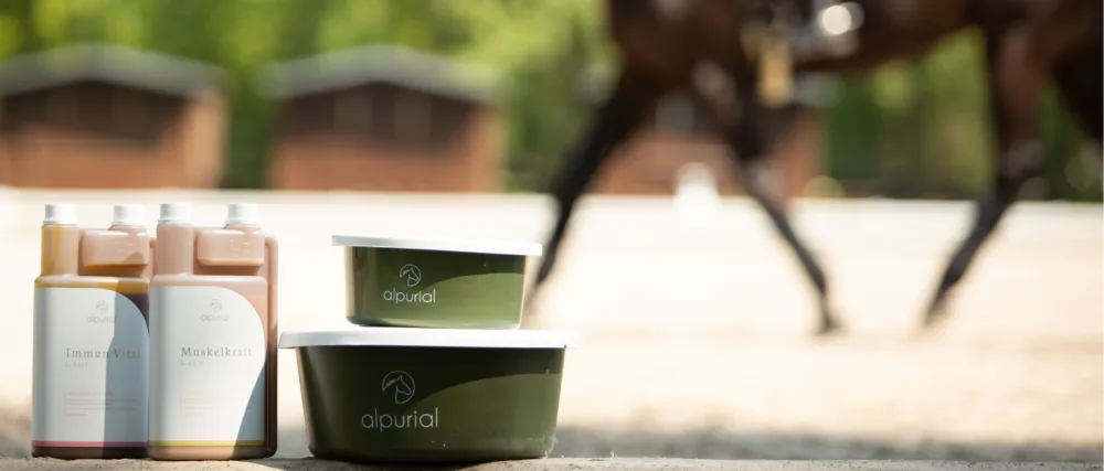 Alpurial Jointfit Support of the natural joint function in horses developed by the veterinarian Liquid 1 liter - Alpurial Produkte