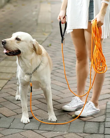 HAPPY HACHI Adjustable Double Dog Leash Coupler No Tangle Nylon Twin 2 Pet Trainer Leash Splitter S 33-50 cm Red - product information 21