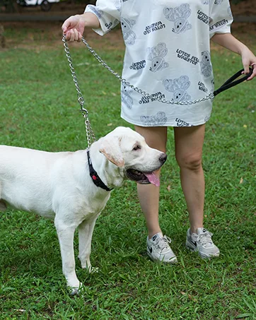 HAPPY HACHI Adjustable Double Dog Leash Coupler No Tangle Nylon Twin 2 Pet Trainer Leash Splitter S 33-50 cm Red - product information 23