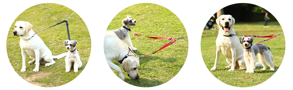 HAPPY HACHI Adjustable Double Dog Leash Coupler No Tangle Nylon Twin 2 Pet Trainer Leash Splitter S 33-50 cm Red - product information 4