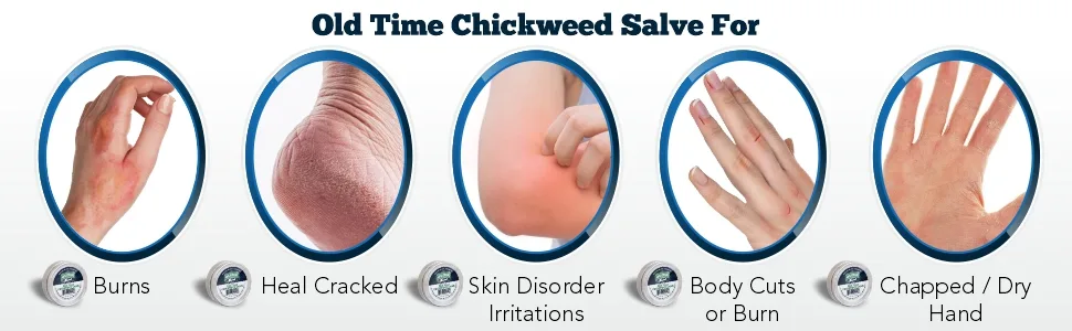 Amish Origins Old Time Chickweed Salve 2 fl oz (56.7 gr) - product information 4