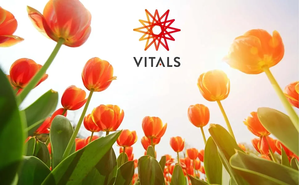 Vital - Quercetin -PS 100mg 60 capsules with improved bioavailability through phytosome technology.10 to 20 times higher bioavailability through phytosome technology. - vitals