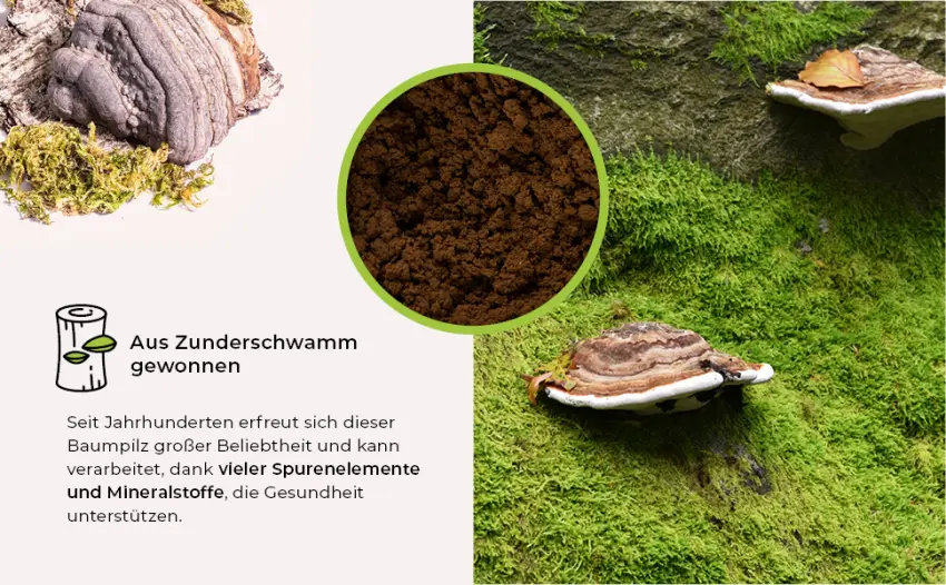 Good Feeling Power | 30g | The GFP-Complex from the tinder fungus | The original tinder fungus powder - Good Feeling Products, Zunderschwamm Pulver