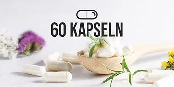 Choline 600mg 60 capsules for normal fat metabolism VITA1 Choline capsules for vegans and vegetarians - 60 Kapseln