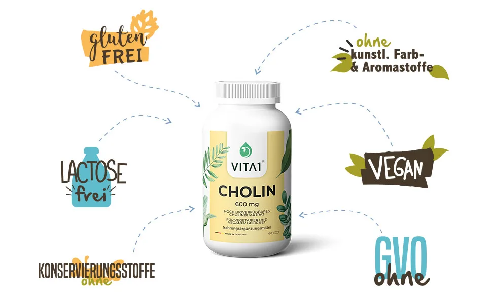Choline 600mg 60 capsules for normal fat metabolism VITA1 Choline capsules for vegans and vegetarians - Cholin Kapseln 600 mg