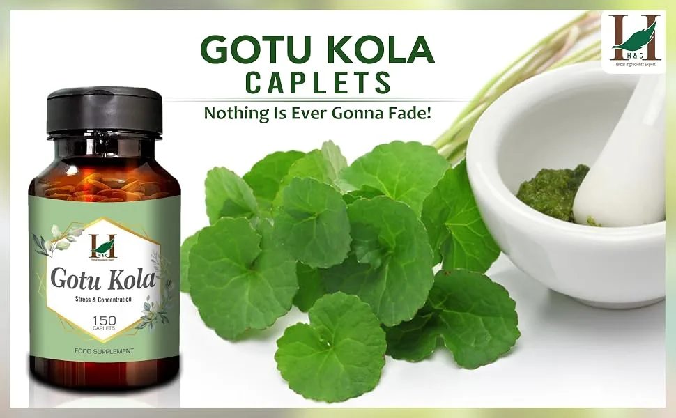 H&C Gotu Kola (Centella Asiatica) Capsules/Tablets 750 mg 150 pieces (5 months) for memory and concentration - SPN-FOR1