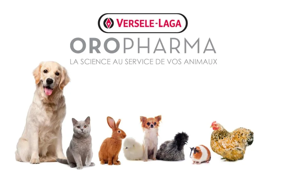 Versele Laga Plaque Free Dental Kit - Toothpaste + Toothbrush 100 g - Oropharma