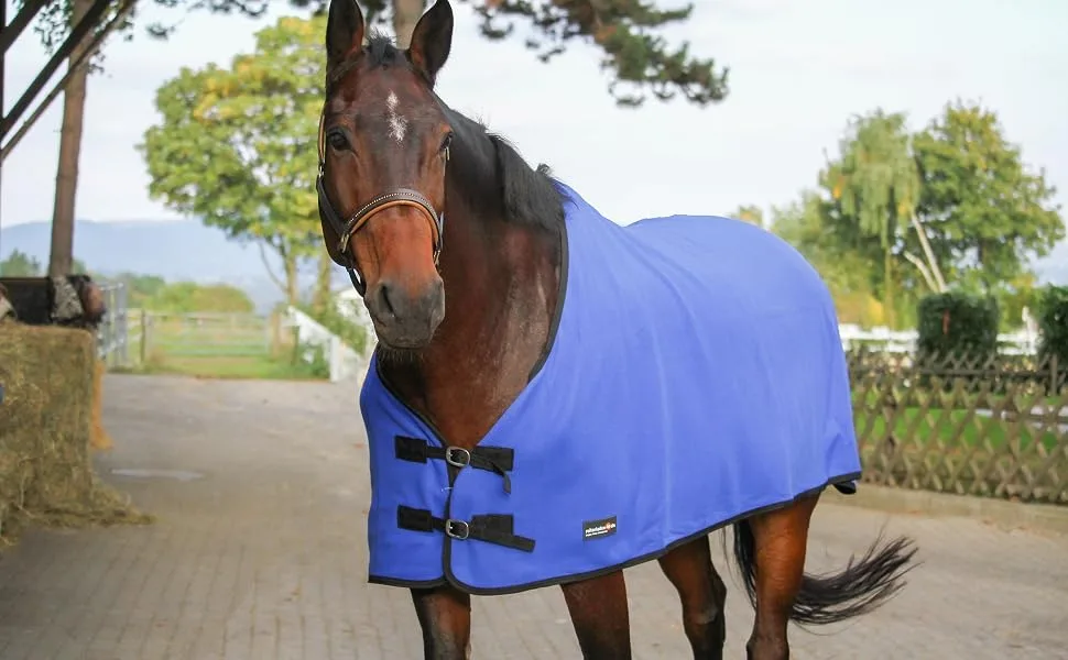 RL24 Sweat rug BASICLINE HKM by Reiterladen24 dark blue 145cm - basicline