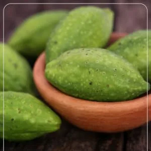 H&C Haritaki Caplets/Tablets (Terminalia Chebula) 750 mg 150 pieces | Detoxification & Rejuvenation for Vata 750 mg Capsules - SPN-FOR1