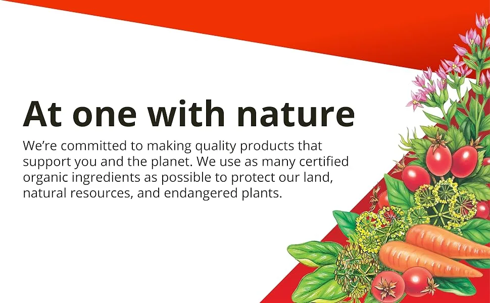 Gaia Herbs Floradix Iron Tablets 120 Tablets - At one with nature We