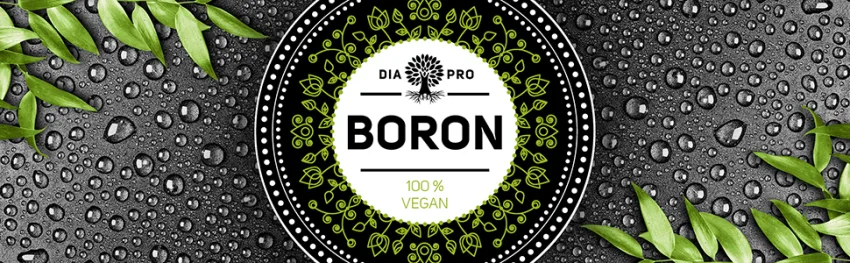 DiaPro Boron 365 pieces High-dose boron tablets with 3 mg boron per tablet from sodium borate Annual supply 100% vegan Laboratory tested - DiaPro Mandala Header