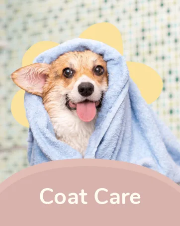 Kin+Kind Flea + Tick Prevent Dog + Cat Protect Spray Lemongrass 12 fl oz (354 ml) - coat care