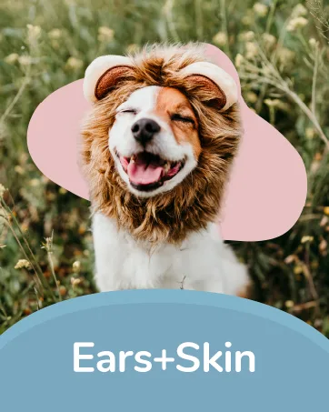 Kin+Kind Flea + Tick Prevent Dog + Cat Protect Spray Lemongrass 12 fl oz (354 ml) - ears+skin