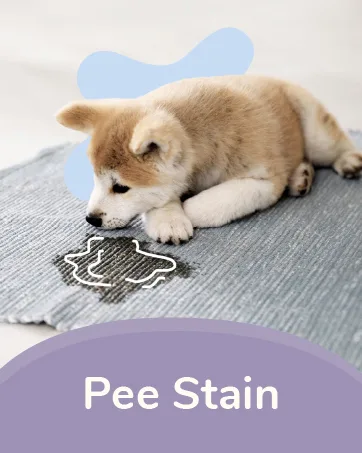 Kin+Kind Flea + Tick Prevent Dog + Cat Protect Spray Lemongrass 12 fl oz (354 ml) - pee stain
